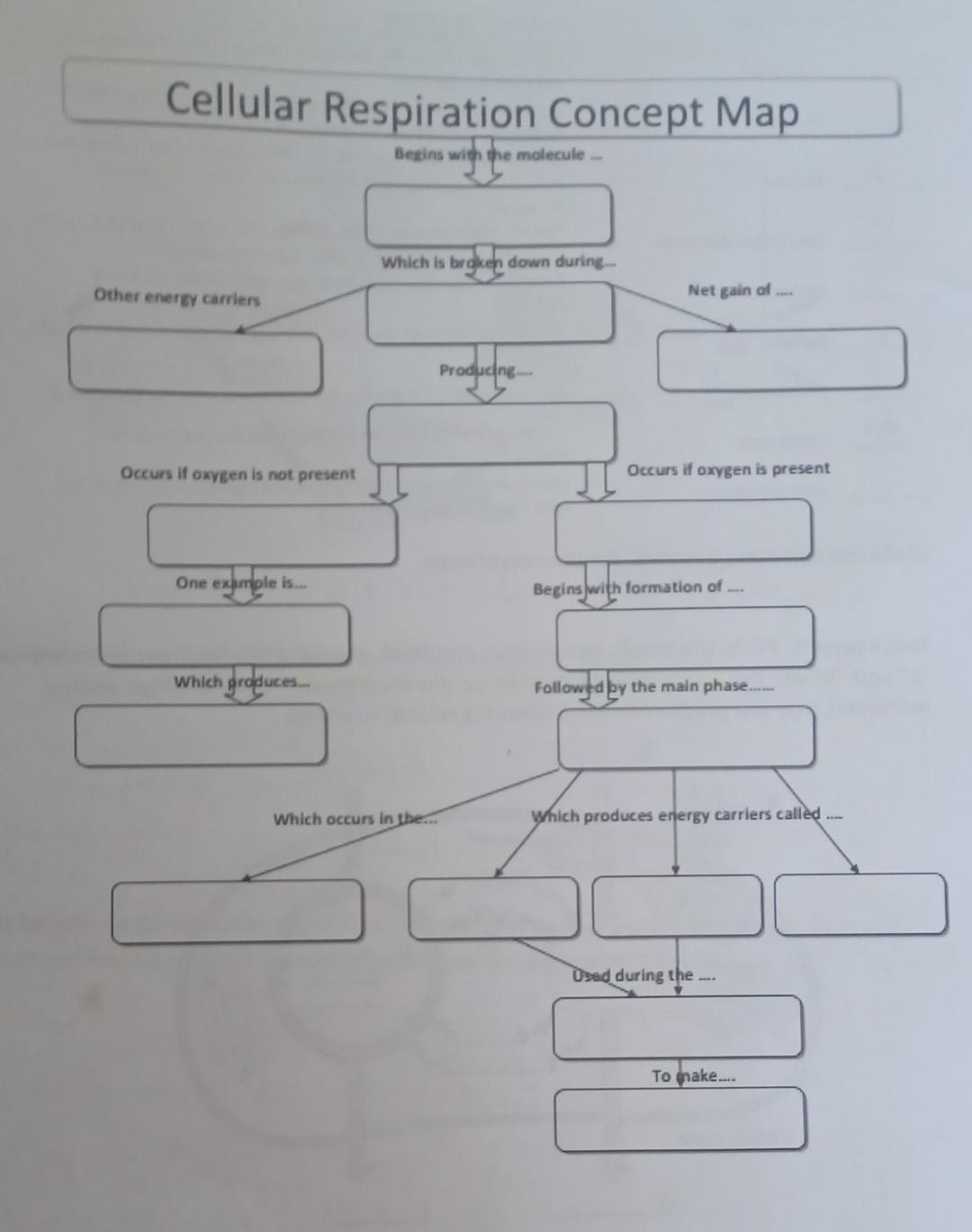 Cellular Respiration Concept Map Begins With The Molecule Other Energy Carriers Occurs If Oxygen Is Not Present One Exam 1
