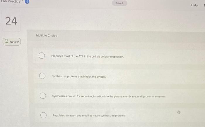 Lab Practical 1 24 00 16 53 Multiple Choice O Saved Produces Most Of The Atp In The Cell Via Cellular Respiration Synth 1