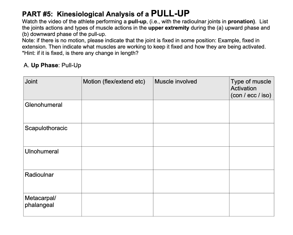 Part 5 Kinesiological Analysis Of A Pull Up Watch The Video Of The Athlete Performing A Pull Up I E With The Radio 1