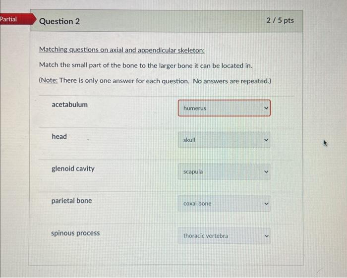 Partial Question 2 Matching Questions On Axial And Appendicular Skeleton Match The Small Part Of The Bone To The Larger 1