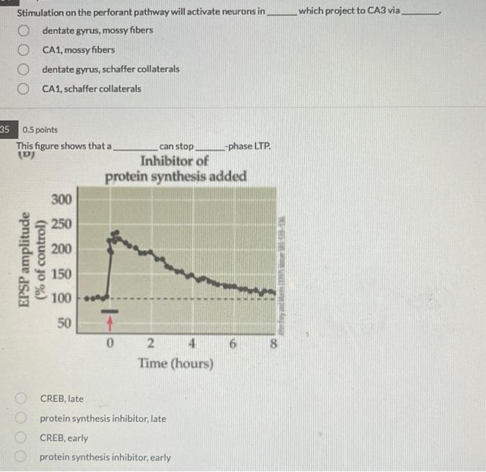 5 3 0 5 Points Drugs Such As Ssri S Can Alter Neurotransmitter Functioning By Changing The Post Synaptic Effect O In 3