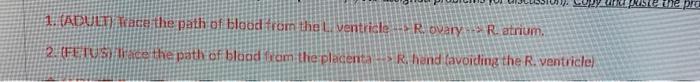 1 Adult Trace The Path Of Blood From The L Ventricle R Ovary R Atrium 2 Fetus Lace The Path Of Blood From The 1