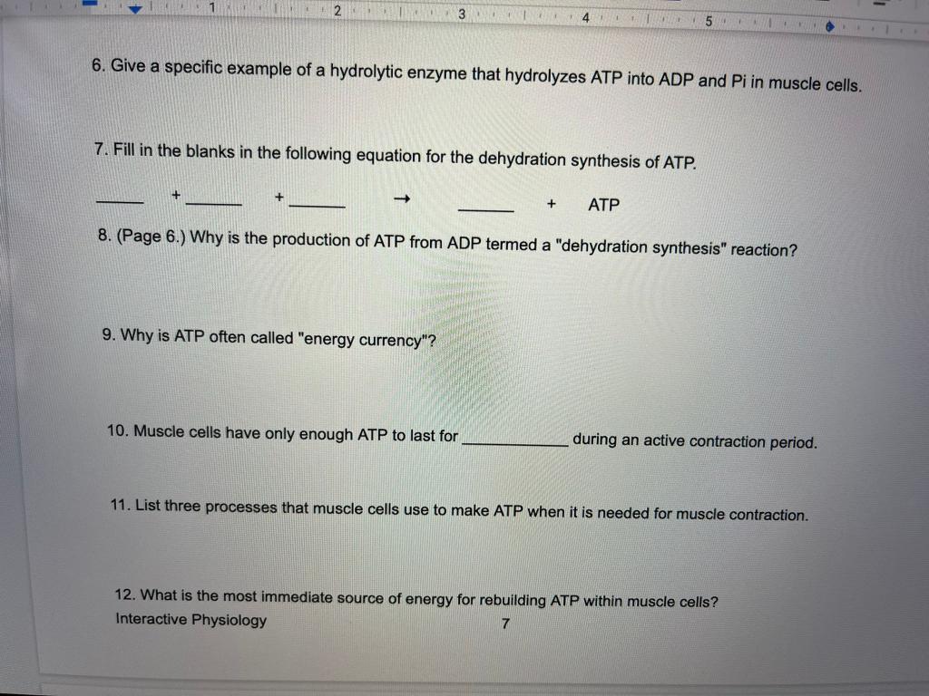 2 Ctroco 3 4 6 Give A Specific Example Of A Hydrolytic Enzyme That Hydrolyzes Atp Into Adp And Pi In Muscle Cells 1