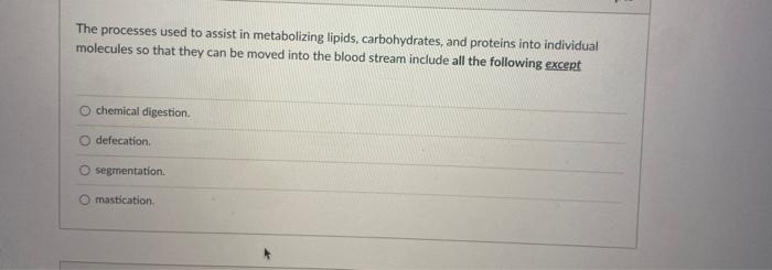 The Processes Used To Assist In Metabolizing Lipids Carbohydrates And Proteins Into Individual Molecules So That They 1