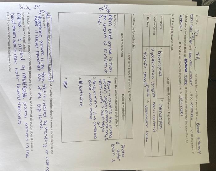 Chapter 18 And 19 Study Guide Chapter 18 1 Fill Out The Following Chart Of The Layers Of Blood Vessels Tissue Type S T 2