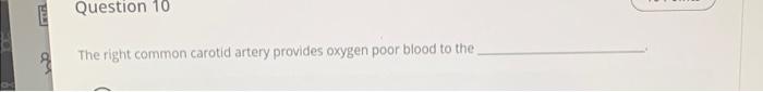 Au Question 10 The Right Common Carotid Artery Provides Oxygen Poor Blood To The The Large Intestine Is Connected To Th 1