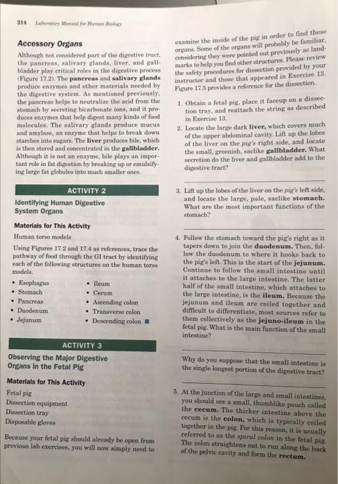 214 Laboratory Manual For Human Holy Accessory Organs Although Not Considered Part Of The Digestive Tract The Pancreas 1