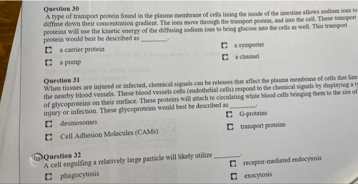Question 30 A Type Of Transport Protein Found In The Plasma Membrane Of Cells Lining The Inside Of The Intestine Allows 2