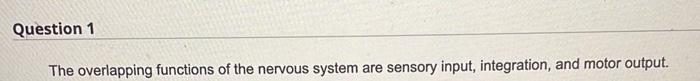 Question 1 The Overlapping Functions Of The Nervous System Are Sensory Input Integration And Motor Output The Overla 1