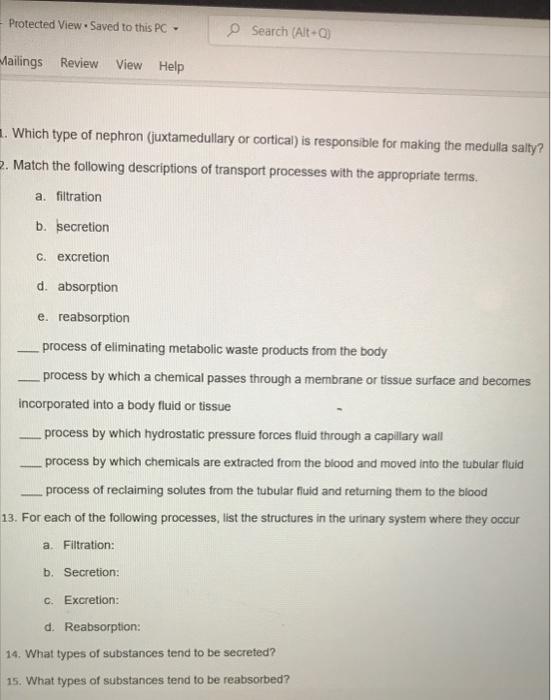 Protected Viewsaved To This Pc Mailings Review View Help Which Type Of Nephron Juxtamedullary Or Cortical Is Responsi 1
