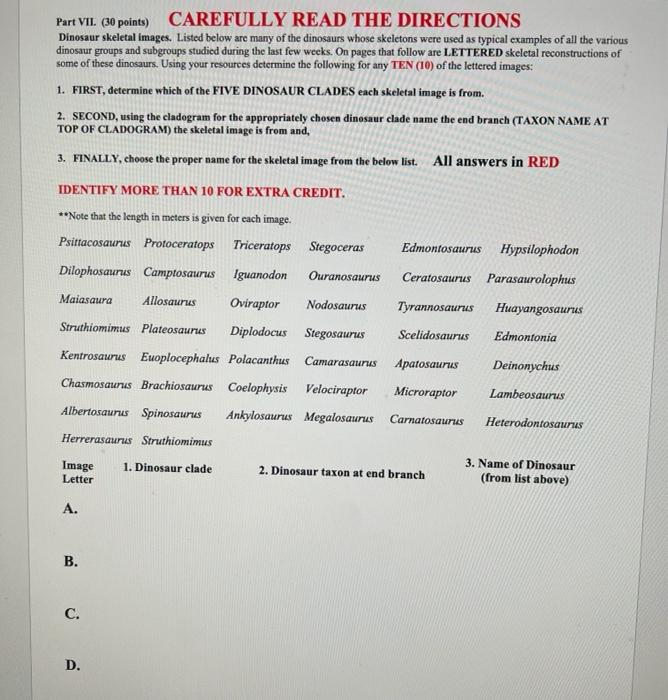 Part Vii 30 Points Carefully Read The Directions Dinosaur Skeletal Images Listed Below Are Many Of The Dinosaurs Who 1