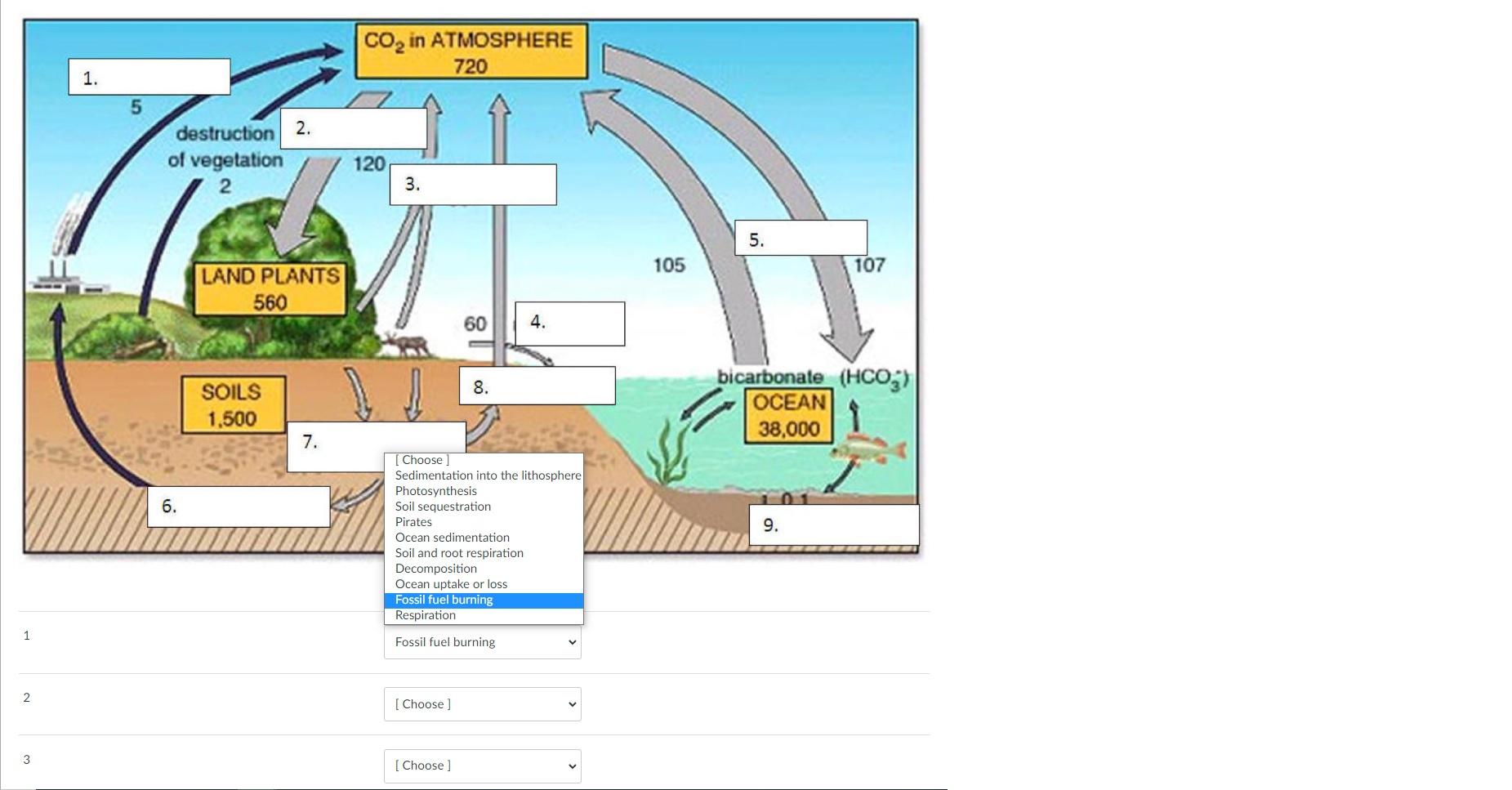 1 2 3 1 5 Destruction 2 Of Vegetation 2 6 Land Plants 560 Soils 1 500 7 Co In Atmosphere 720 120 3 60 8 Choose 1
