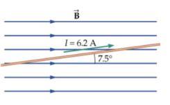 The Long Thin Wire Shown In Figure 22 45 Is In A Region Of Constant Magnetic Field B The Wire Carries A Current Of 6 1