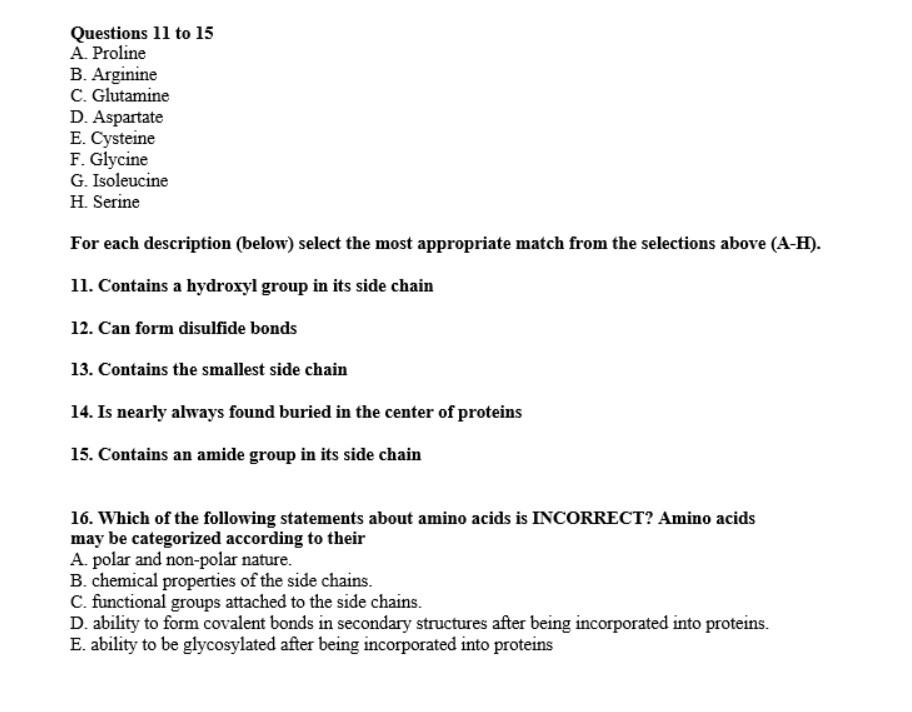 Questions 11 To 15 A Proline B Arginine C Glutamine D Aspartate E Cysteine F Glycine G Isoleucine H Serine For E 1