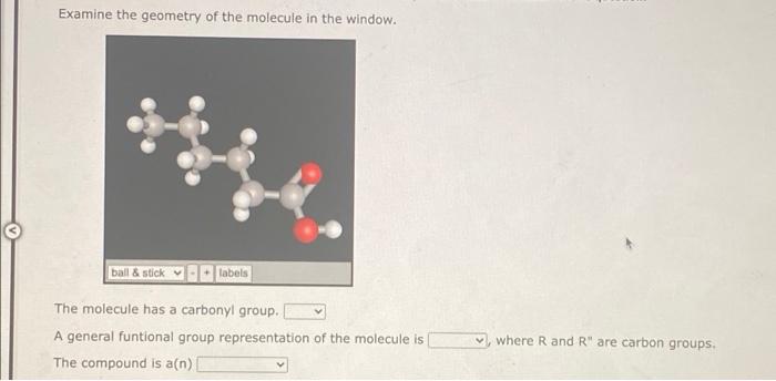Examine The Geometry Of The Molecule In The Window Ball Stick 1 Labels The Molecule Has A Carbonyl Group A General F 1