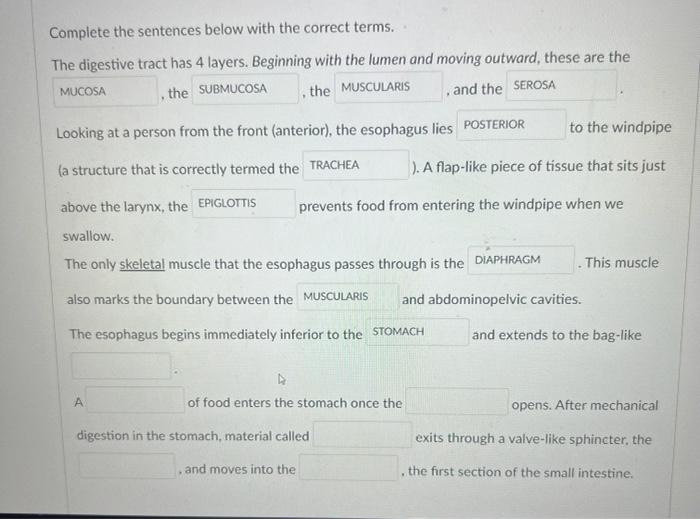 Complete The Sentences Below With The Correct Terms The Digestive Tract Has 4 Layers Beginning With The Lumen And Movi 1