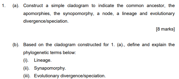 1 A Construct A Simple Cladogram To Indicate The Common Ancestor The Apomorphies The Synopomorphy A Node A Linea 1