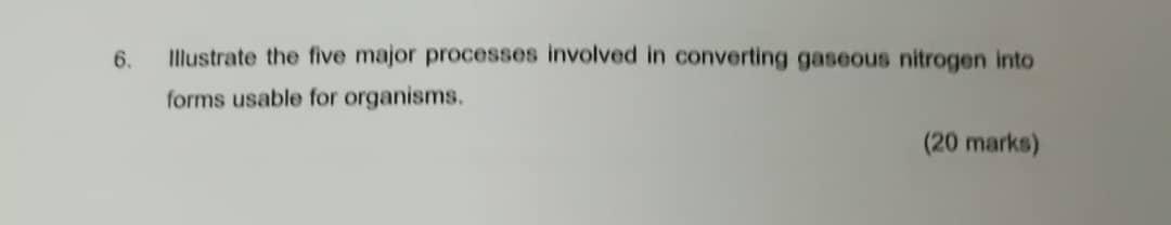 6 Illustrate The Five Major Processes Involved In Converting Gaseous Nitrogen Into Forms Usable For Organisms 20 Mark 1
