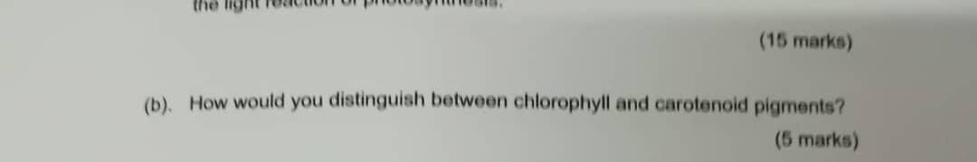 The Ligh 15 Marks B How Would You Distinguish Between Chlorophyll And Carotenoid Pigments 5 Marks 1