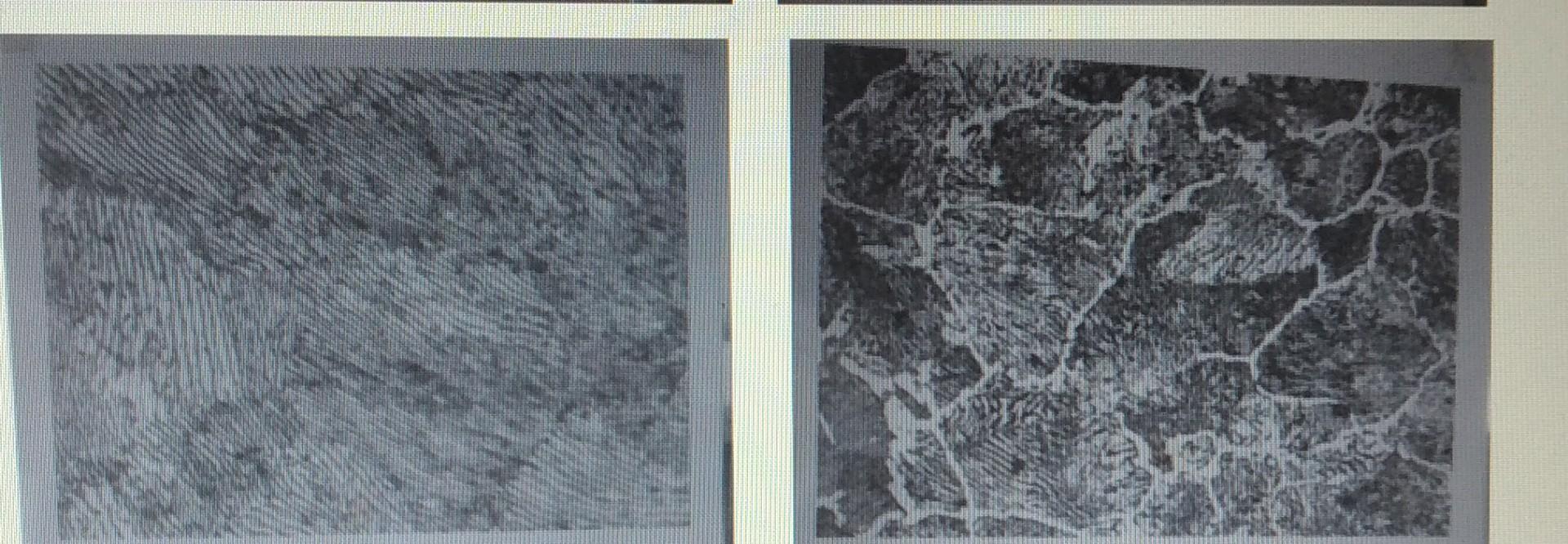 Draw The Microstructure Diagrams Of The Following Six Metals 1