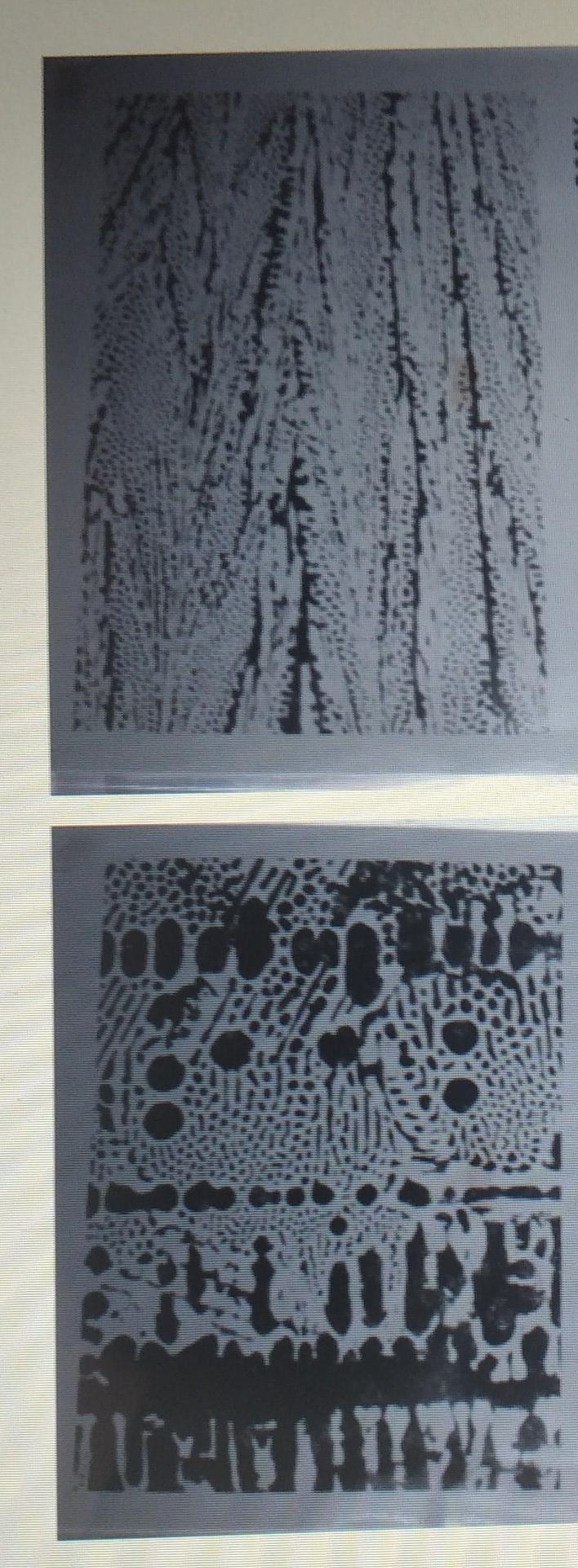 Draw The Microstructure Diagrams Of The Following Six Metals 2