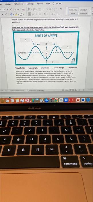 Layout References Mailings Review View Telme Aa Ano E Ka Fetch Surface Converted By Their Weight Wet Period And By 1