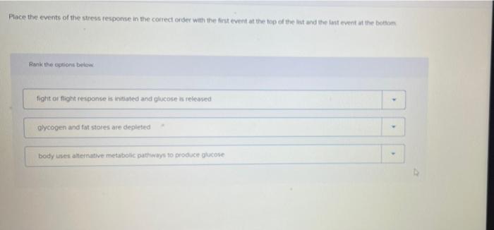 Place The Events Of The Stress Response In The Correct Order With The First Event At The Top Of The List And The Last Ev 2