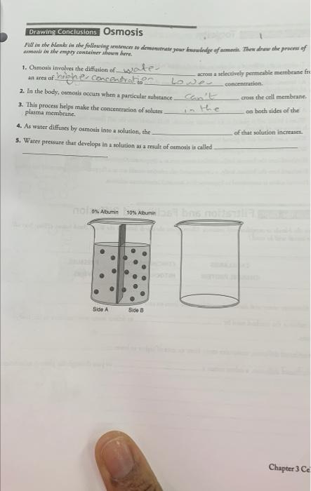 Drawing Conclusions Osmosis Fall In The Blanke Te The Following Sentences Se Demonstrate Your Dowledge Of Amenia Then D 1