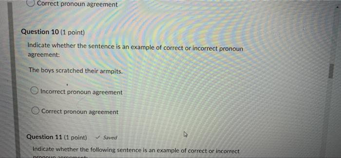 Correct Pronoun Agreement Question 10 1 Point Indicate Whether The Sentence Is An Example Of Correct Or Incorrect Pron 1