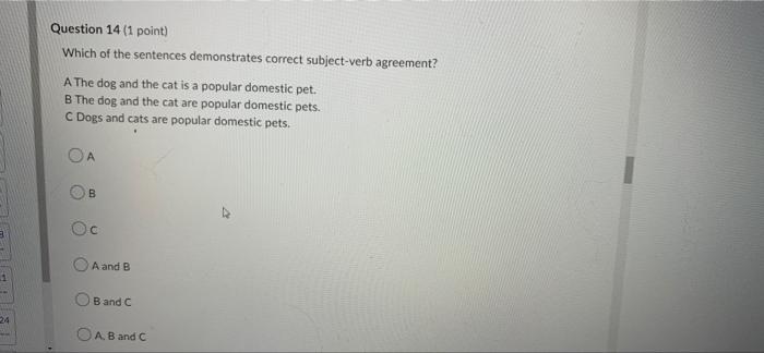 3 1 24 Question 14 1 Point Which Of The Sentences Demonstrates Correct Subject Verb Agreement A The Dog And The Cat 1