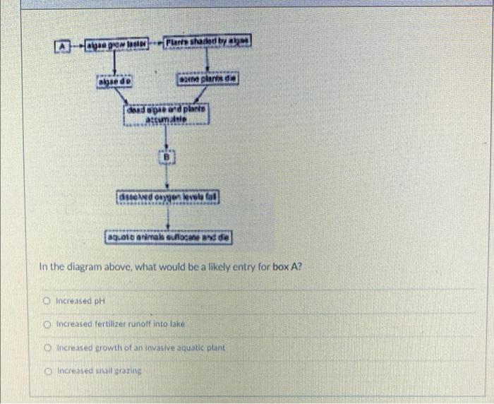 An Prowback Flare Shared By Clase De Osim Planes De Ghid Out And Plants Astumai Chewd Osyon Kevota Fat 0 010 Animais Su 2