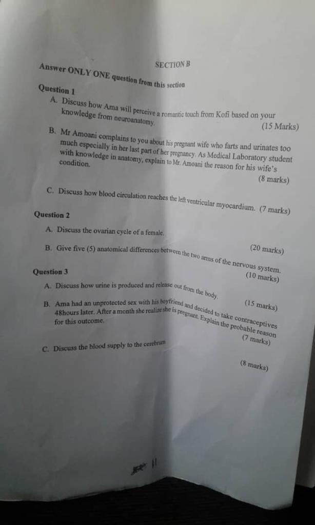 Answer Only One Question From This Section Section B Question 1 A Discuss How Ama Will Perceive A Romantic Touch From K 1