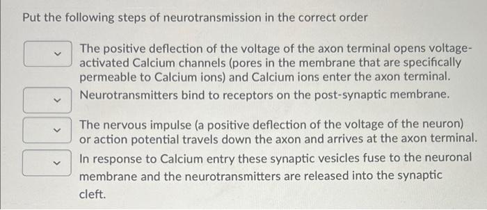 Put The Following Steps Of Neurotransmission In The Correct Order The Positive Deflection Of The Voltage Of The Axon Ter 1