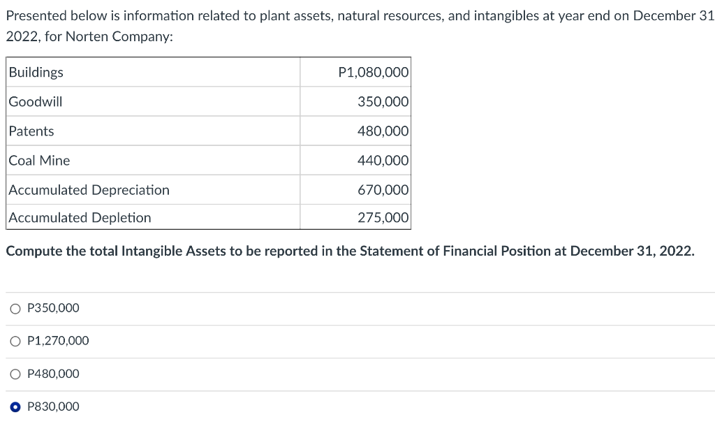 Presented Below Is Information Related To Plant Assets Natural Resources And Intangibles At Year End On December 31 20 1