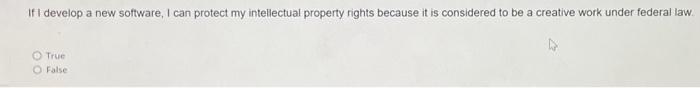 If I Develop A New Software I Can Protect My Intellectual Property Rights Because It Is Considered To Be A Creative Wor 1