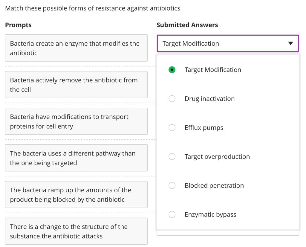 Match These Possible Forms Of Resistance Against Antibiotics Prompts Submitted Answers Target Modification Bacteria Crea 1