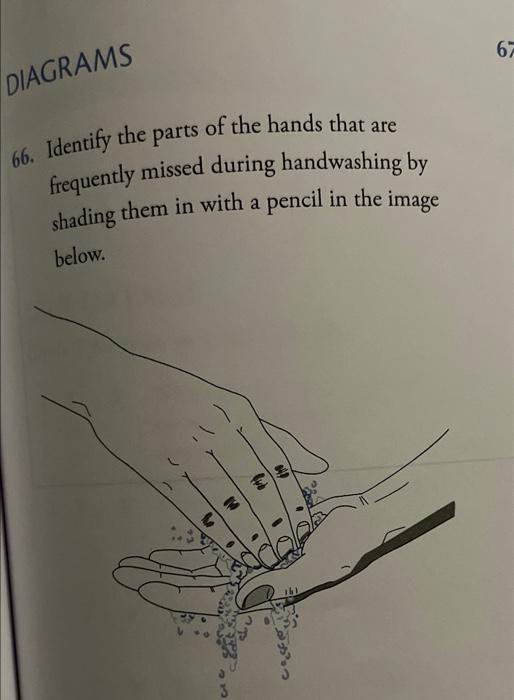 67 Diagrams 66 Identify The Parts Of The Hands That Are Frequently Missed During Handwashing By Shading Them In With A 1