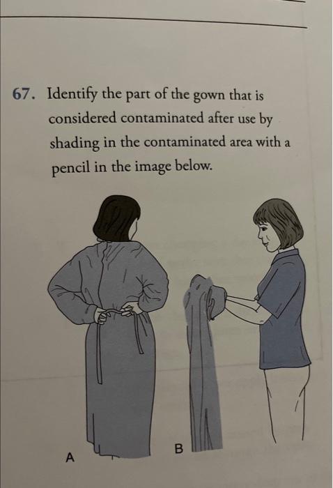 67 Diagrams 66 Identify The Parts Of The Hands That Are Frequently Missed During Handwashing By Shading Them In With A 2