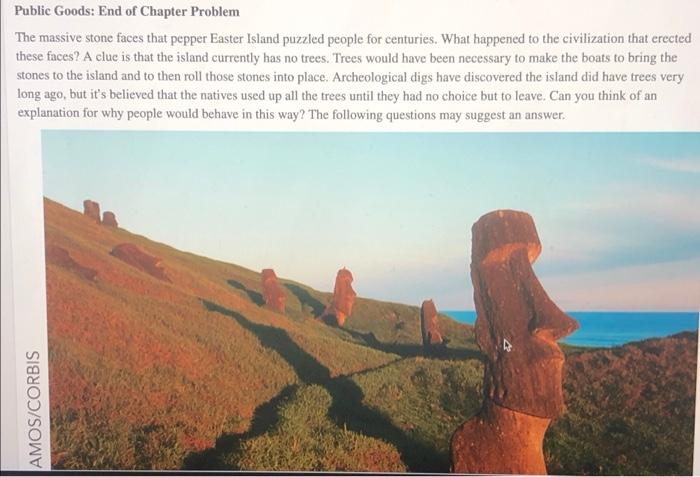 Public Goods End Of Chapter Problem The Massive Stone Faces That Pepper Easter Island Puzzled People For Centuries Wha 1