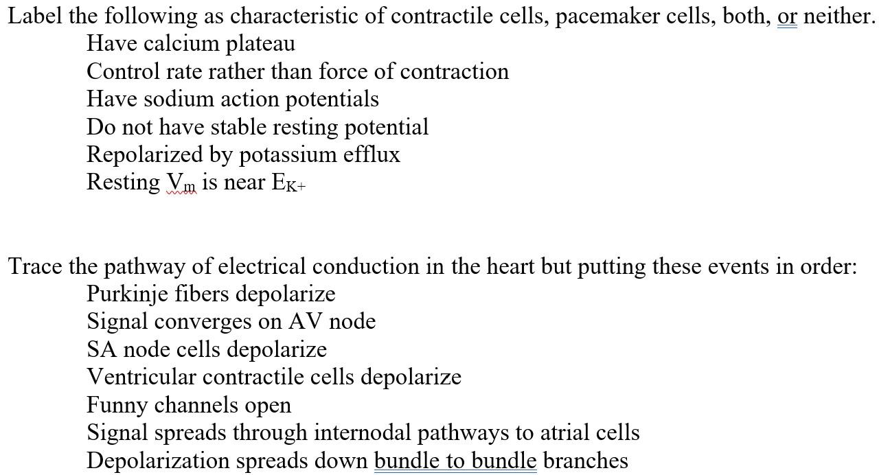 Label The Following As Characteristic Of Contractile Cells Pacemaker Cells Both Or Neither Have Calcium Plateau Cont 1