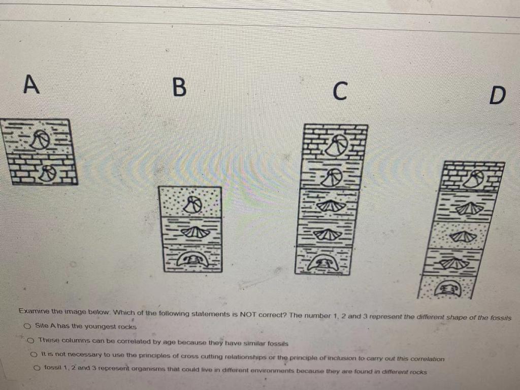 A B D E C M Way D Examine The Image Below Which Of The Following Statements Is Not Correct The Number 1 2 And 3 Repre 1