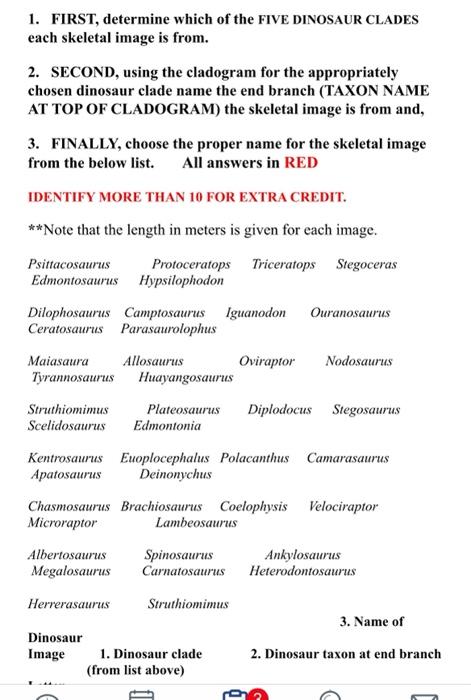 1 First Determine Which Of The Five Dinosaur Clades Each Skeletal Image Is From 2 Second Using The Cladogram For Th 1