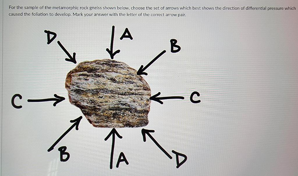 For The Sample Of The Metamorphic Rock Gneiss Shown Below Choose The Set Of Arrows Which Best Shows The Direction Of Di 1