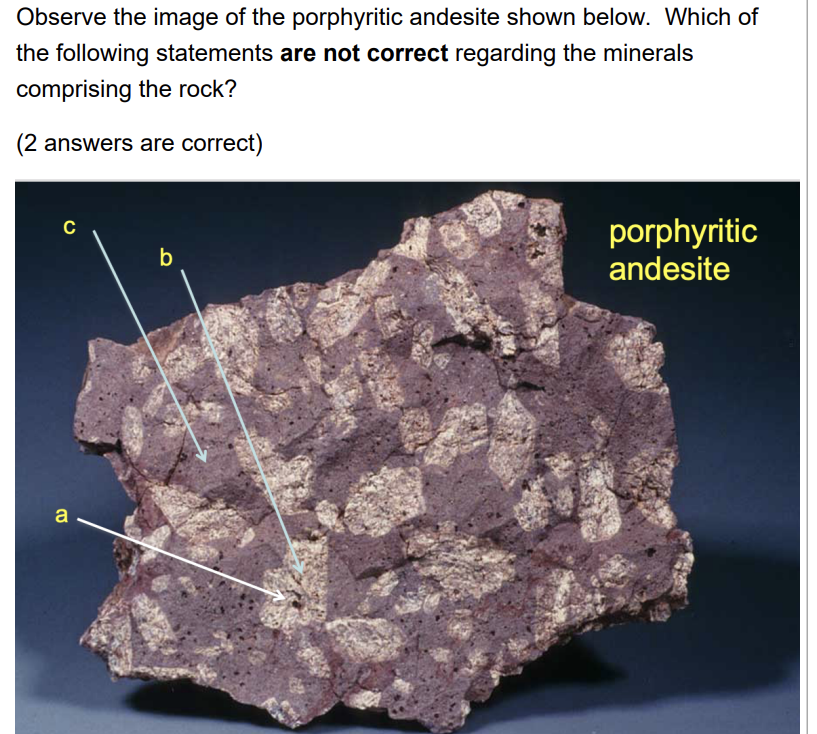 Observe The Image Of The Porphyritic Andesite Shown Below Which Of The Following Statements Are Not Correct Regarding T 1