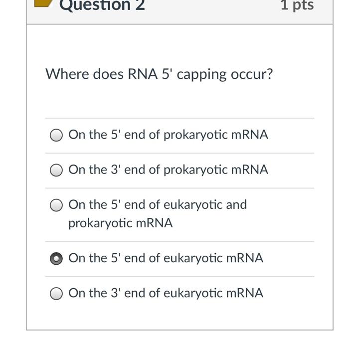 Question 1 1 Pts A Difference Between The Structural Makeup Of Rna And Dna Is Dna Is A Double Helix Strand Rna Exists As 2