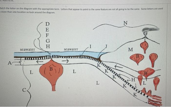 Watch Hd M Fatch The Letter On The Diagram With The Appropriate Term Letters That Appear To Point To The Same Featur 1