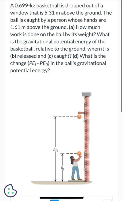 A 0 699 Kg Basketball Is Dropped Out Of A Window That Is 5 31 M Above The Ground The Ball Is Caught By A Person Whose H 1