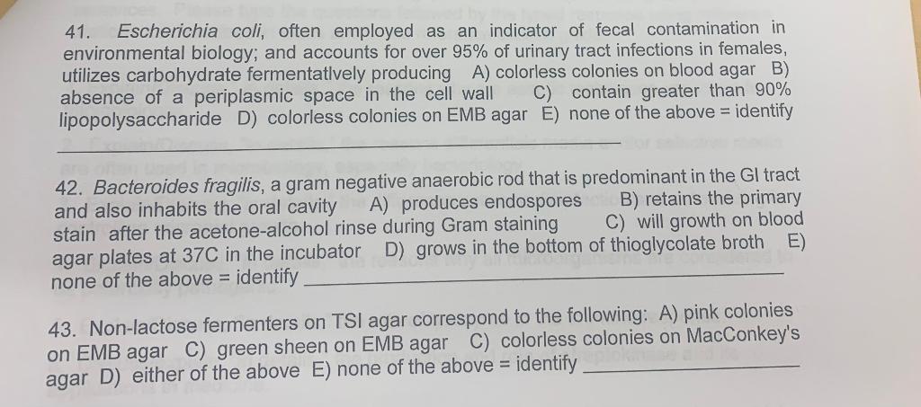 41 Escherichia Coli Often Employed As An Indicator Of Fecal Contamination In Environmental Biology And Accounts For O 1