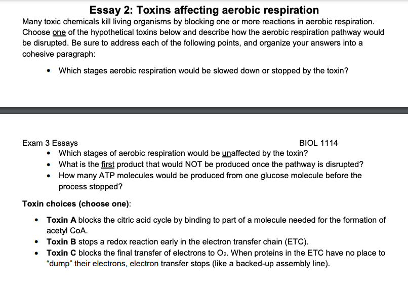 Essay 2 Toxins Affecting Aerobic Respiration Many Toxic Chemicals Kill Living Organisms By Blocking One Or More Reactio 1