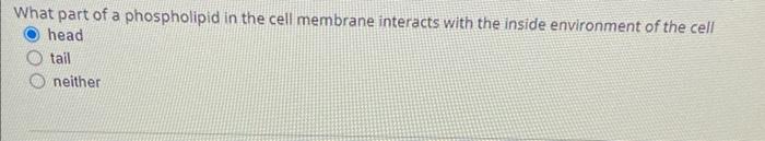 What Part Of A Phospholipid In The Cell Membrane Interacts With The Inside Environment Of The Cell Head Tail Neither 1